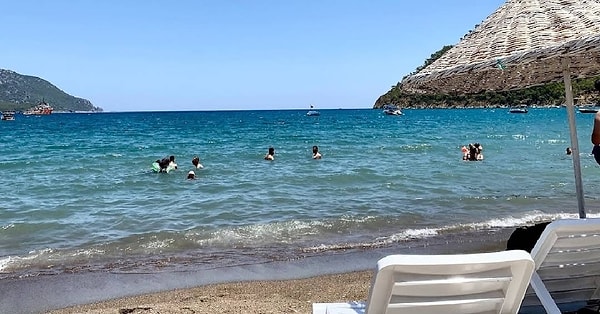 Coastlines around the world are quite literally gasping for breath.