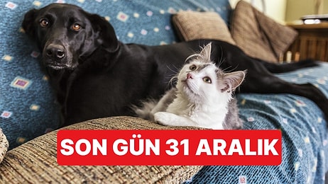 Evcil Hayvan Sahipleri İçin Son Uyarı: 31 Aralık Son Tarih