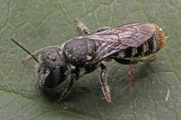 Its size may be small, but its story is monumental...