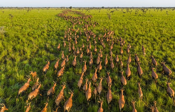 Hareket Halindeki Altı Milyon - Güney Sudan