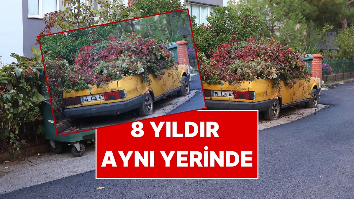 Sahibi Ölen Otomobil 8 Yıldır Aynı Yerinde: Hanımeller ve Sarmaşıklar Kapladı
