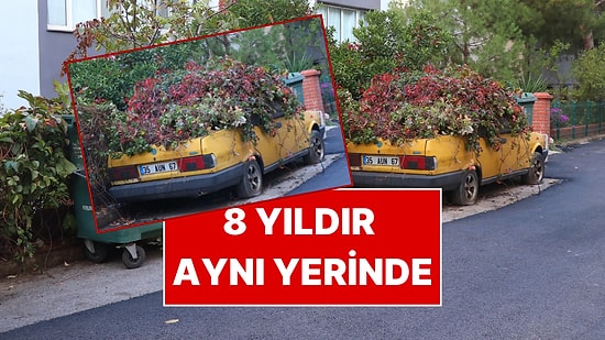 Sahibi Ölen Otomobil 8 Yıldır Aynı Yerinde: Hanımeli ve Sarmaşıklar Kapladı