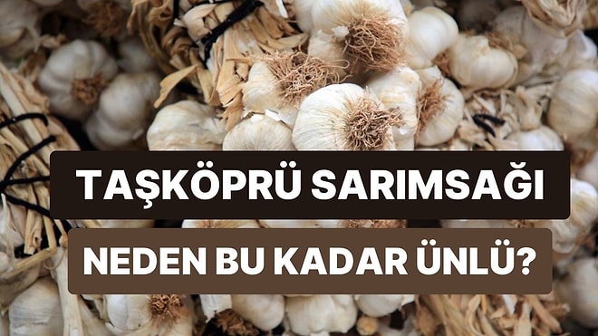 Meşhur Olmak Kolay Değil: Taşköprü Sarımsağı Bu Ünü Nasıl Kazandı?