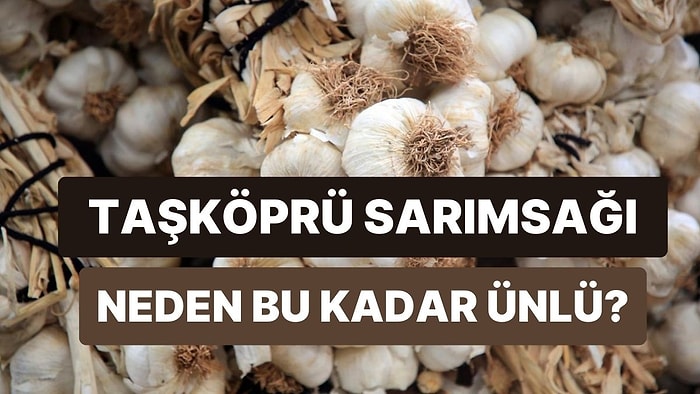 Meşhur Olmak Kolay Değil: Taşköprü Sarımsağı Bu Ünü Nasıl Kazandı?