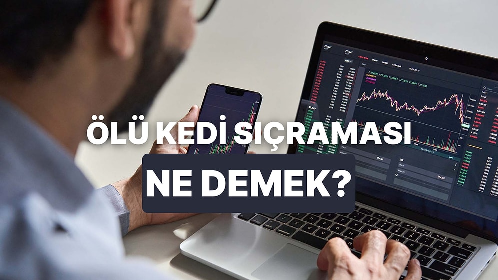 Özellikle Hisse Yatırımlarında Görülen “Ölü Kedi Sıçraması” Nedir?