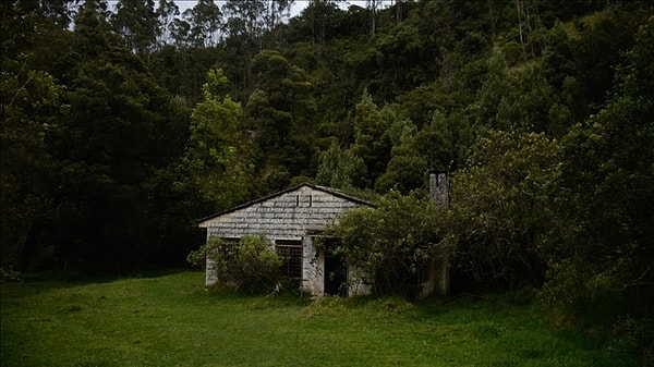 Japonya’da artan boş konut sorunu, şirketleri yenilikçi çözümler aramaya yöneltti.