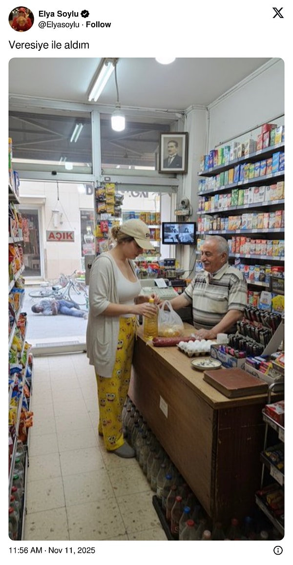 Elya Soylu isimli hesaptan seri bir şekilde görsel atılıyor.