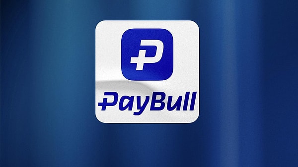 Paybull Nedir?