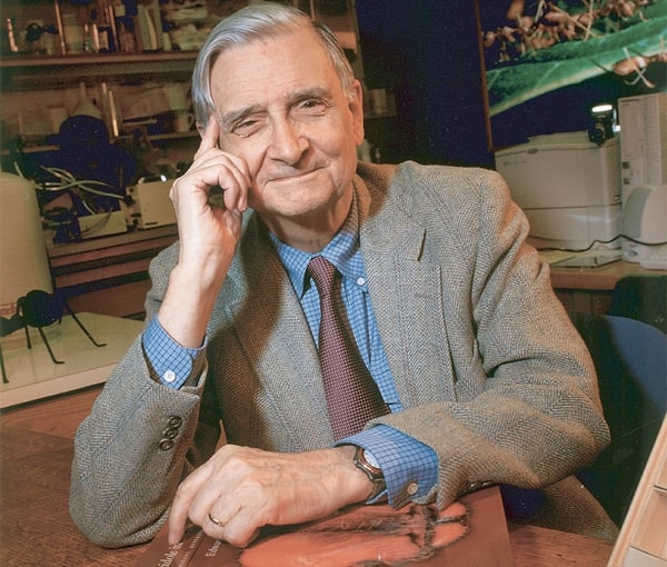 E.O. Wilson'ın Biyofilya Hipotezi de olaya şu açıdan bakıyor:
