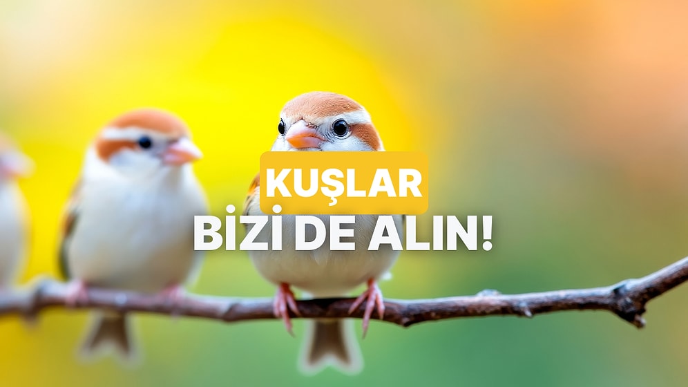 Sebebi Çok Farklı: Kuş Sesleri Neden Bize Huzur Verir?