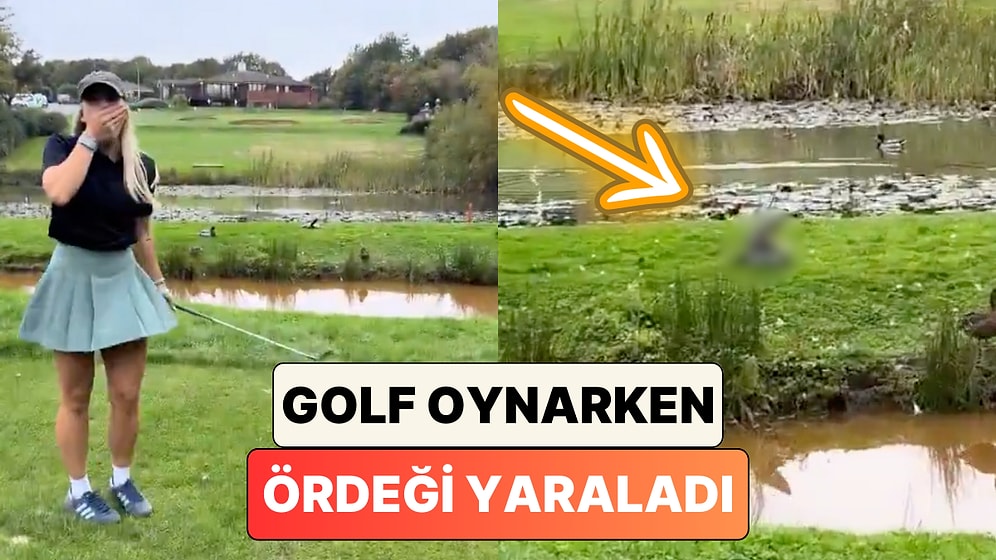 Golf Oynarken Bir Ördeği Yaralayan Kadının Hiçbir Müdahalede Bulunmadığı Anlar Tepki Çekti