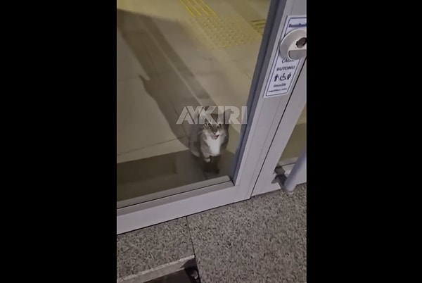 Ortalığı ayağa kaldırdı.