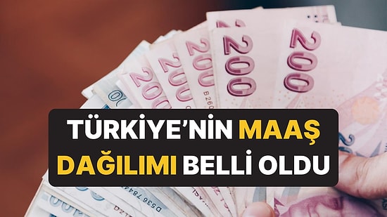 Türkiye'de Çalışanların ve Emeklilerin Maaş Dağılımı Belli Oldu