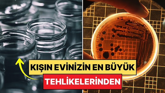 Annelerimize Kötü Haber: "Lazım Olur" Diye Saklanalan Boş Kavanozlar Hakkında Ciddi Uyarı