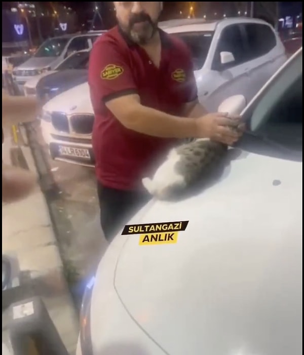 Tabii görüntüler X kullanıcılarını ikiye böldü. Bazı yorumlar şöyle;