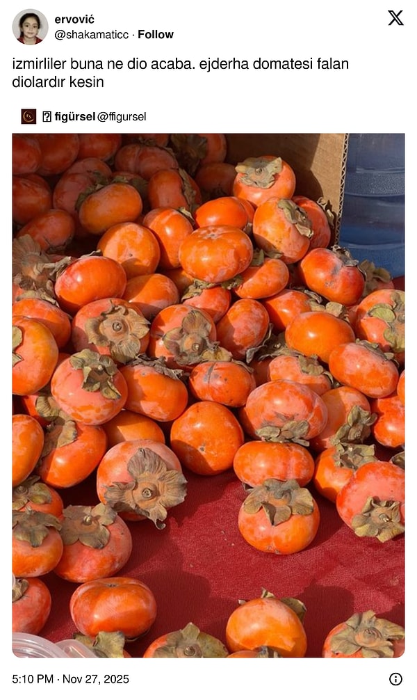 Ejderha domatesi çok mantıklı değil mi?