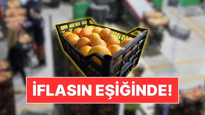 25 Ülkeye Meyve İhraç Eden Türk Gıda Devi Konkordato İlan Etti
