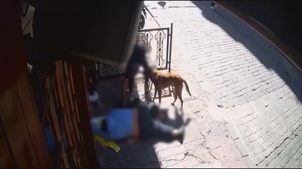 Olay, 21 Eylül günü saat 09.30 sıralarında Kuloğlu Mahallesi'nde meydana geldi.