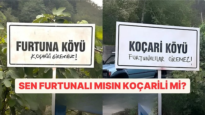 Sen Koçari misin Furtuna mı?