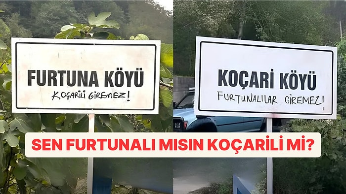 Sen Koçari misin Furtuna mı?