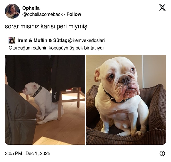 Her şey olabilir...