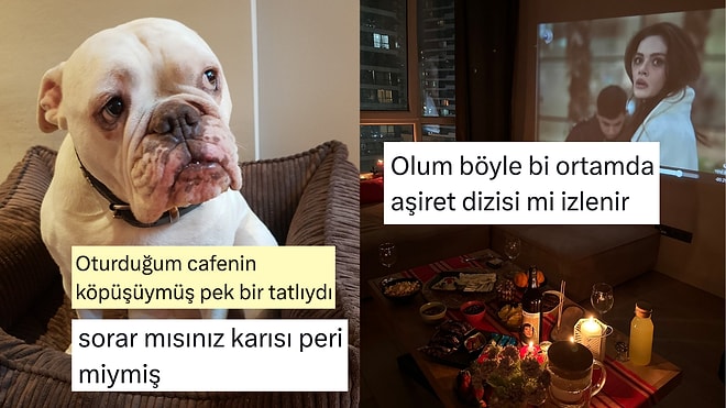 Taci'nin Son Halinden Ortam Dizi Uyumsuzluğuna Son 24 Saatin Viral Tweetleri