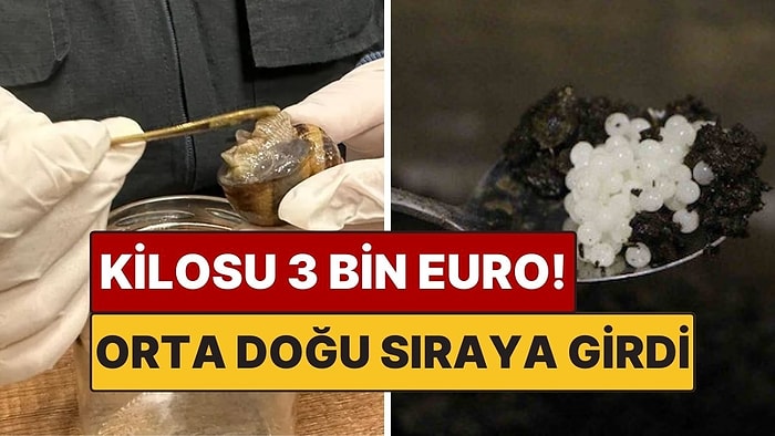Orta Doğu Sıraya Girdi: Bulgaristan’dan 1000 Tane Getirdi, Köşeyi Döndü!