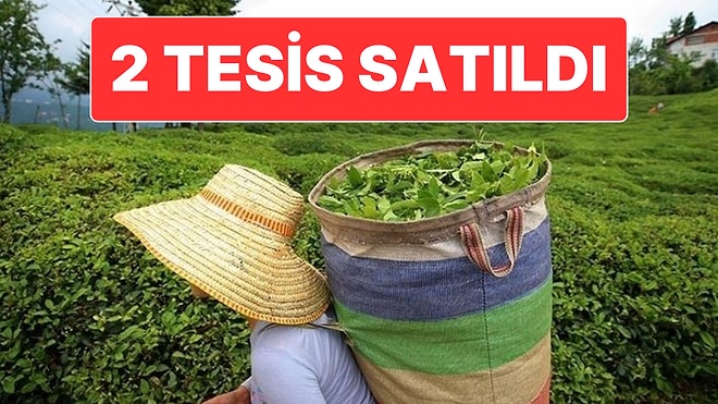 39 Yıl Sonra Türkiye’de Üretimini Durdurdu: Ünlü Çay Markası Türkiye’de Kalmaya Devam Edecek