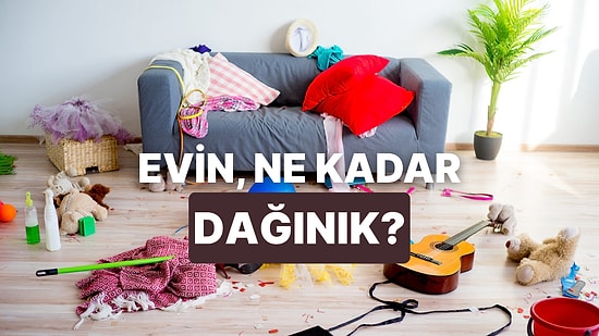 Evinin Dağınıklık Seviyesine Göre Senin Ruh Hayvanın Hangisi?