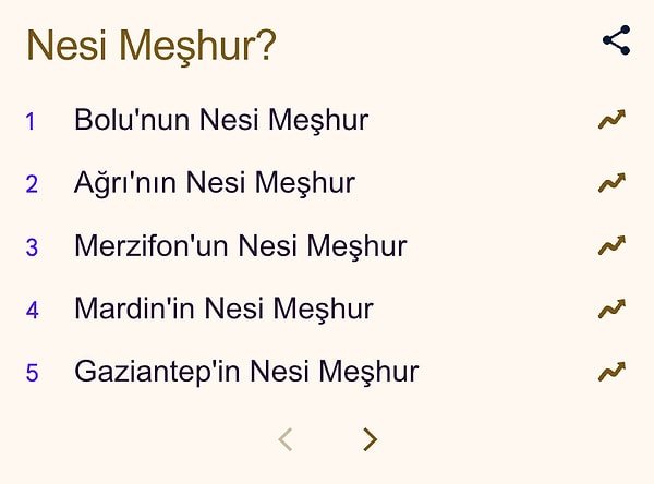 İşte Türkiye'nin en merak ettiği "Nesi meşhur?" soruları!