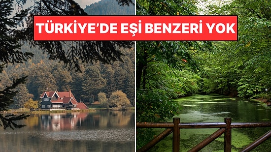 Yeşillik Denince Akla İlk O Gelir: Bolu'nun Nesi Meşhur? Bolu'da Ne Yenir?