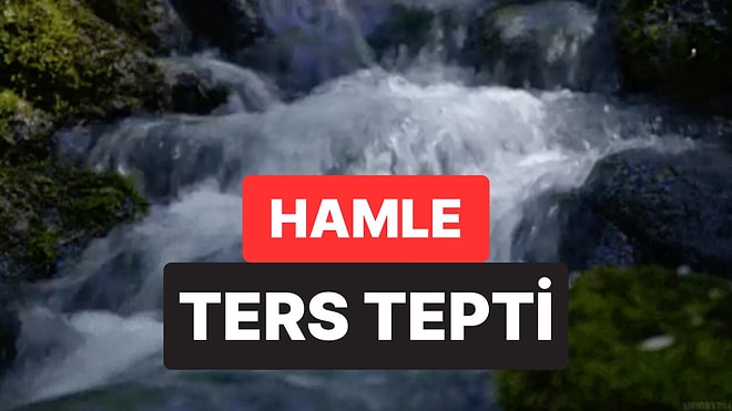 Ağaçlandırma Projeleri Ters Tepti: Çin’de Dev Yeşillendirme Hamlesi Su Kıtlığına Yol Açtı