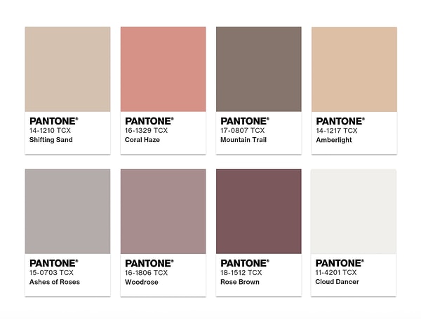 4. Konfor Alanı Paleti