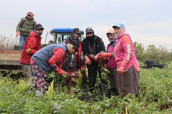 Çiftçilik zorlaştıkça gençler tarladan uzaklaşıyor.