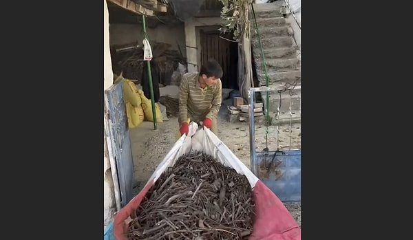 Gerçekten yapabilir miydiniz?