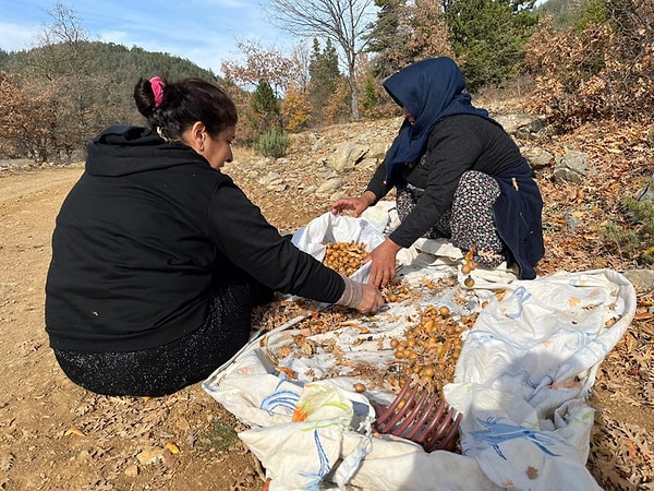 Bölge sakinleri, yıllar önce kim olduğu bilinmeyen bu kişinin sadece doğaya değil, bölgenin geleceğine de katkı yaptığını düşünüyor.