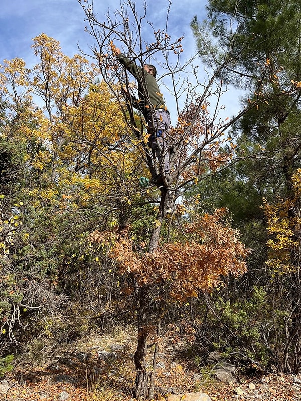 İzine rastlanmayan bu “hayırsever”, yıllar sonra bile hem doğal dengeye katkısıyla hem de sağladığı ekonomik fırsatla bölgede minnetle anılıyor.