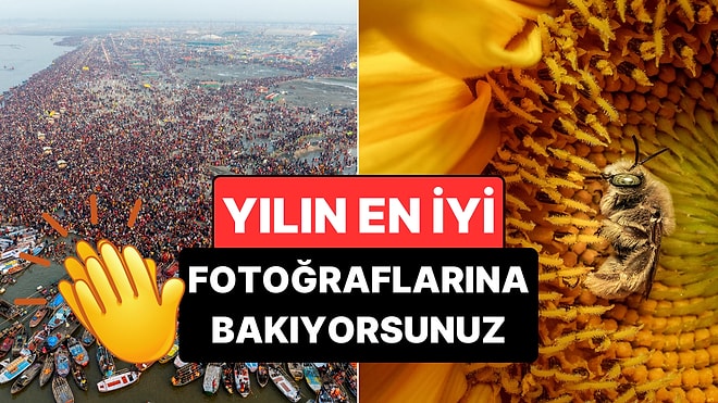 Etkilenmemek Elde Değil: National Geographic Yılın Fotoğraflarını Seçti