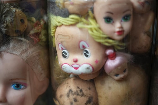 "Önce kavanozlarda, ardından akvaryumlarda sergilemeye başlamış"