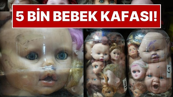 Görenleri Ürküten Koleksiyon! 50 Yıllık 5 Bin Bebek Kafası Koleksiyonunun Ardındaki Hüzünlü Hikaye
