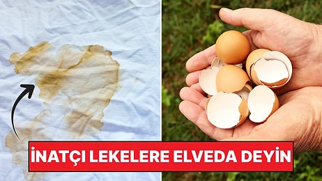 Sakın Çöpe Atmayın! Yumurta Kabuklarının Hiç Bilmediğiniz Faydası