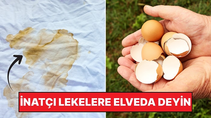 Sakın Çöpe Atmayın! Yumurta Kabuklarının Hiç Bilmediğiniz Faydası