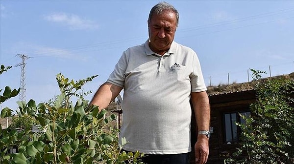 Özel Ağaçlandırma Projesi'ne başvurdu