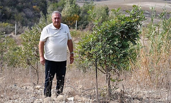"Buralar önceden taşlıktı"