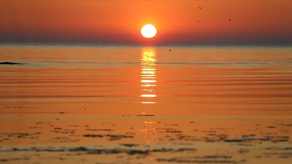 1. Günün bir kelime olsaydı hangisi olurdu?