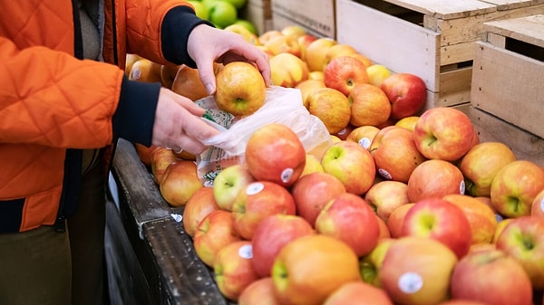 3 ve 4 ile başlayan etiketler neyi ifade ediyor?