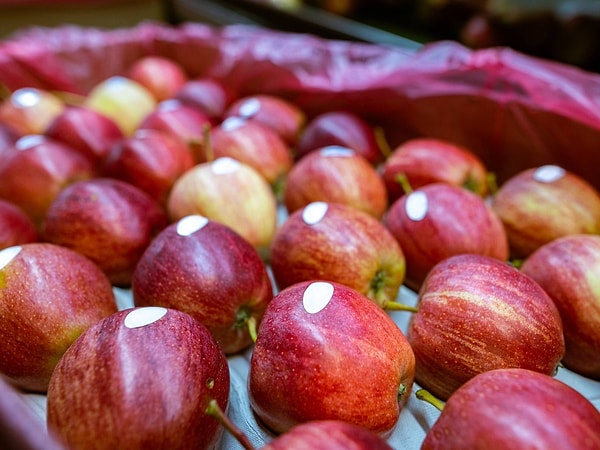 Peki 9 ile başlayan etiketleri neden tercih etmeliyiz?