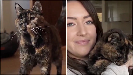 Meet Flossie, the World's Oldest Living Cat Set to Turn 30 in December