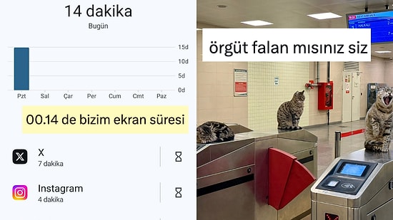 İdeal Ekran Süresinden Marmaray'daki Kedi Çetesine Son 24 Saatin Viral Tweetleri