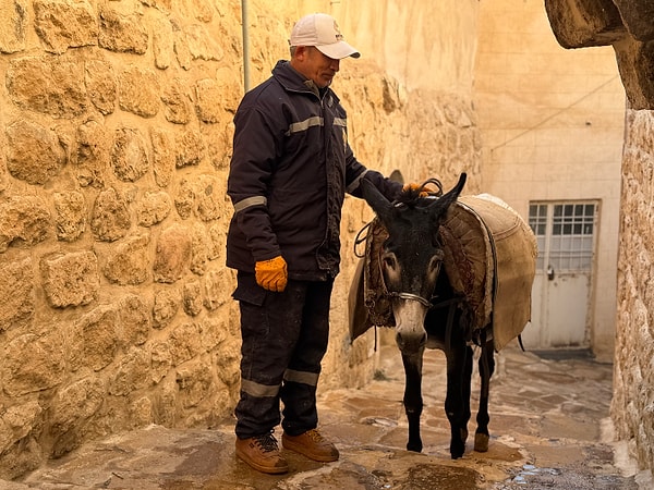 Belediyenin kadrolu işçi eşekleri her sabah saat 04.00’te mesaiye başlıyormuş.